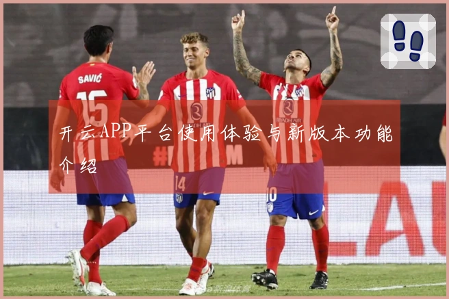 开云APP平台使用体验与新版本功能介绍